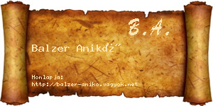 Balzer Anikó névjegykártya